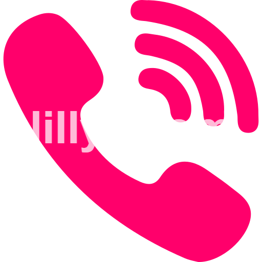 Kanpur Call Girls service